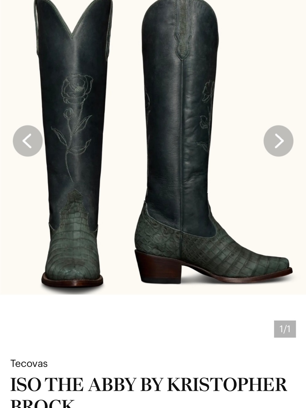 ISO THE ABBY KRISTOPHER BROCK SIZE 7.5 help my dreams come dream pls